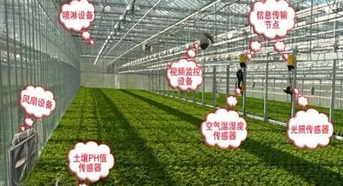 溫室大棚物聯(lián)網(wǎng)